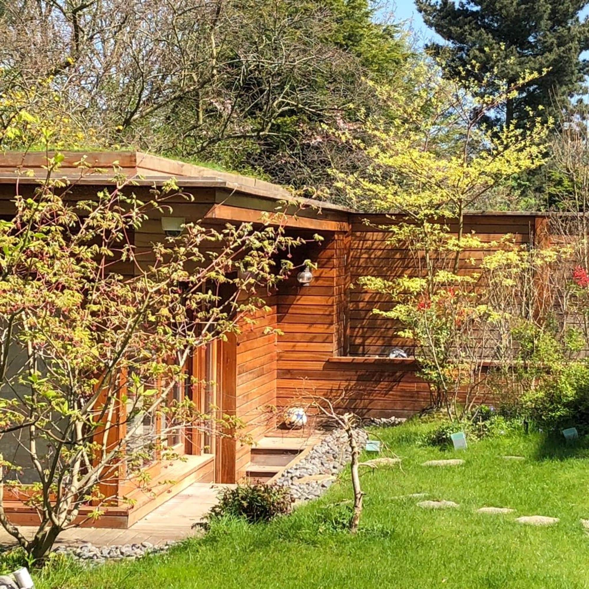 A large shed featuring the benefits of a green roof surrounded by greenery and wildlife in a modern garden